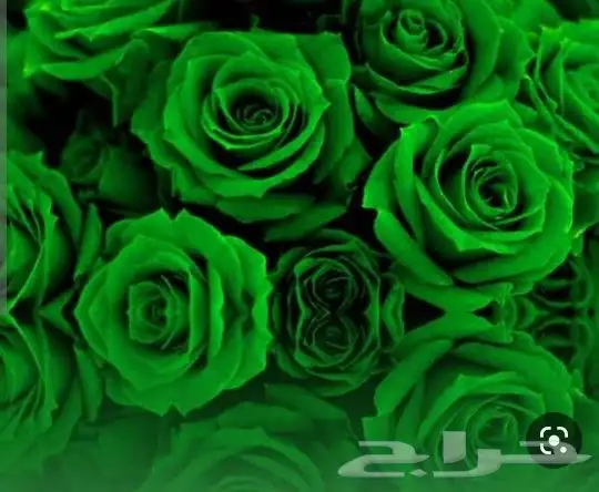 مندوب توصيل و تنسيق ورد وجميع الهدايا 2