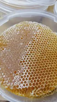 ابو فيصل لبيع العسل لسنا الوحيدون ولكنا الأفض 1