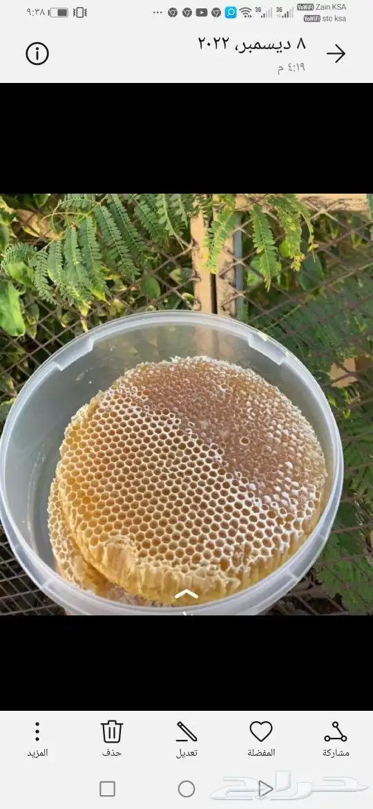 ابو فيصل لبيع العسل لسنا الوحيدون ولكنا الأفض 17