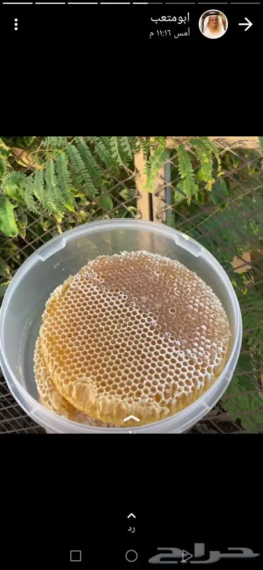 ابو فيصل لبيع العسل لسنا الوحيدون ولكنا الأفض 18