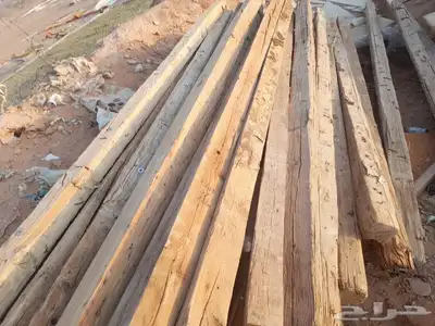 شبوك أبل حواض رودس حواض برسيم شبوك غنم تجهزي 16