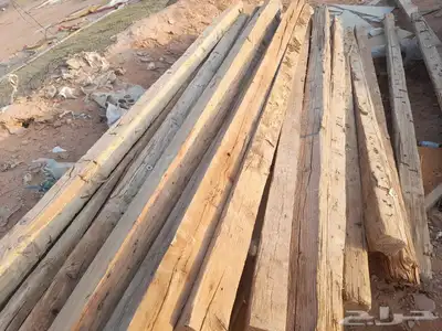 شبوك أبل حواض رودس حواض برسيم شبوك غنم تجهزي 17
