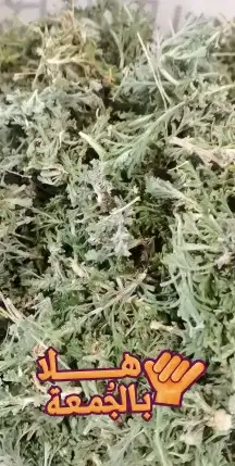 تبوك زعتر وشيح 1