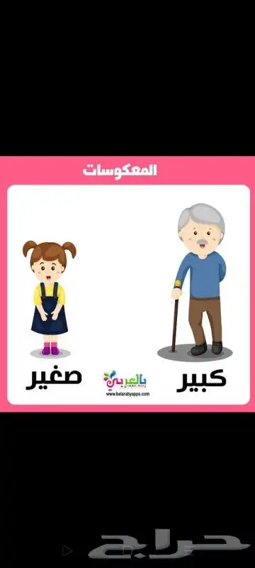 مدرس تأسيس ومتابعه وتحفيظ القرآن الكريم 7