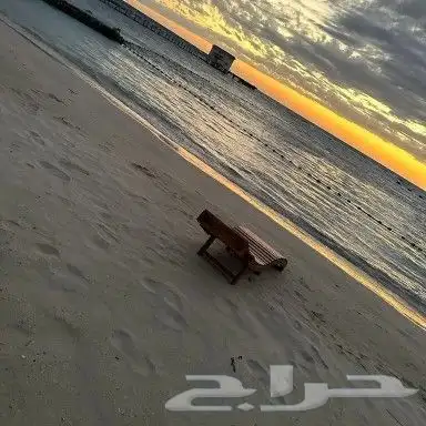 تفصيل كراسي شماسي كلاسيكيه من خشب سوادي شريح 1