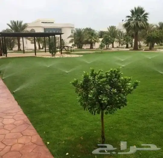 تنسيق حدائق القصيم 2
