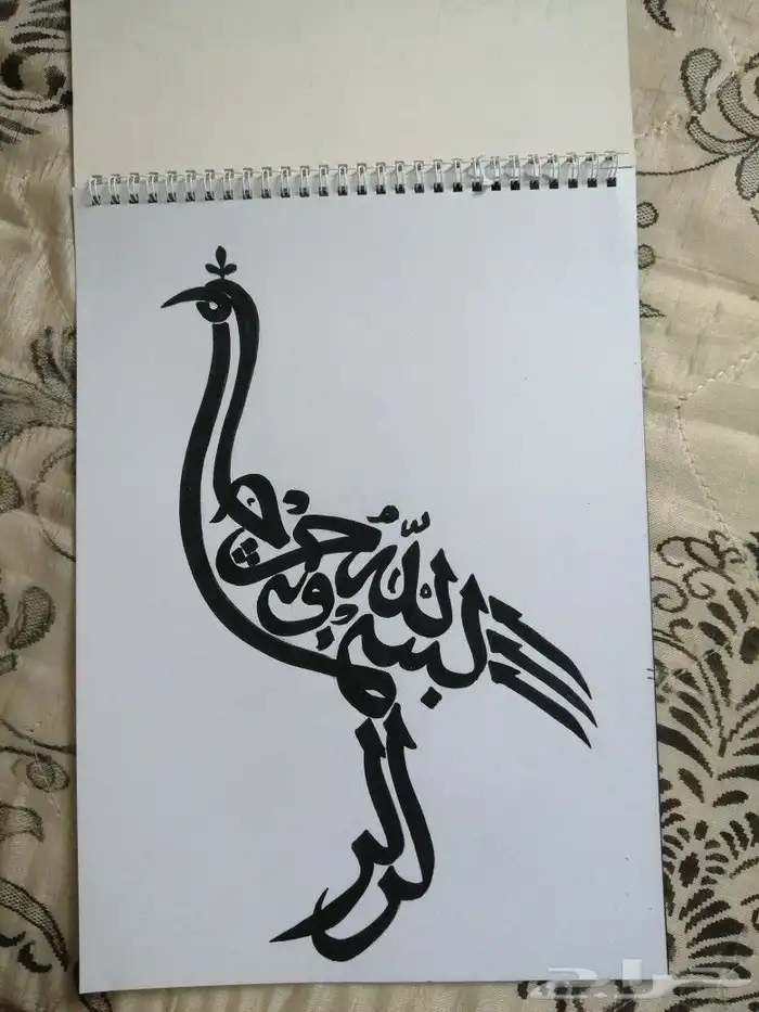 رسام وخطاط 48