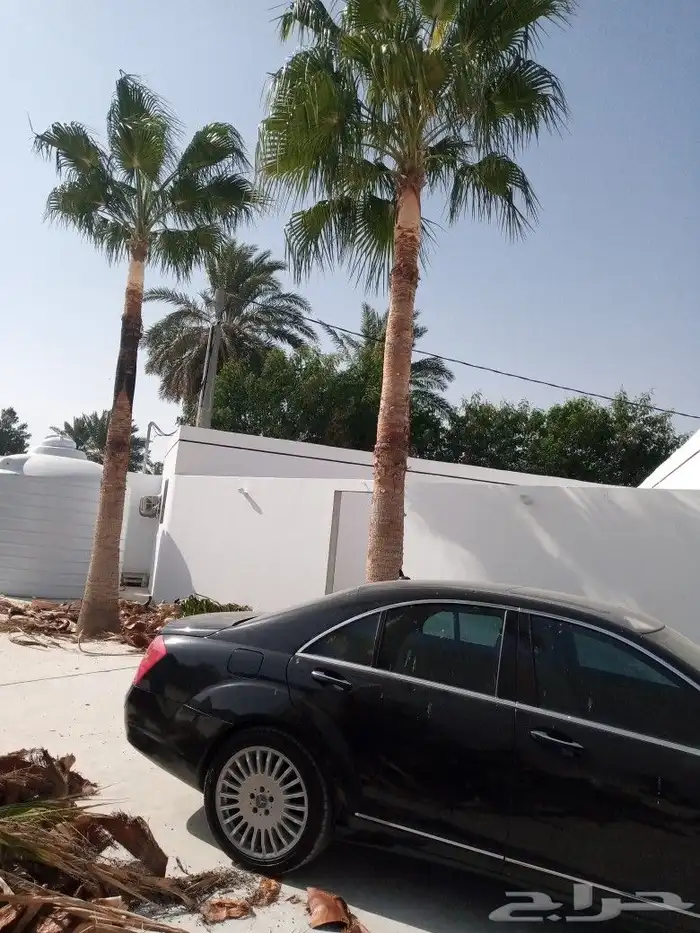 تكريب الواشنطن 0