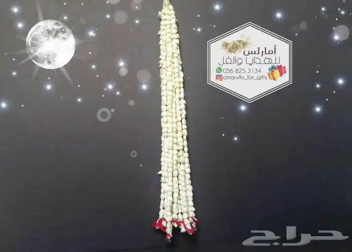 فل هندي وفل بلدي 5