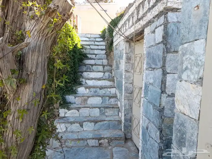 تنومه بلحمر النماص ابهاء سبت العلايه بني عمرو 14