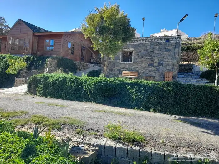 تنومه بلحمر النماص ابهاء سبت العلايه بني عمرو 23