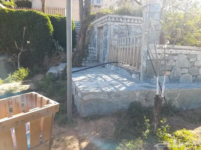 تنومه بلحمر النماص ابهاء سبت العلايه بني عمرو 17