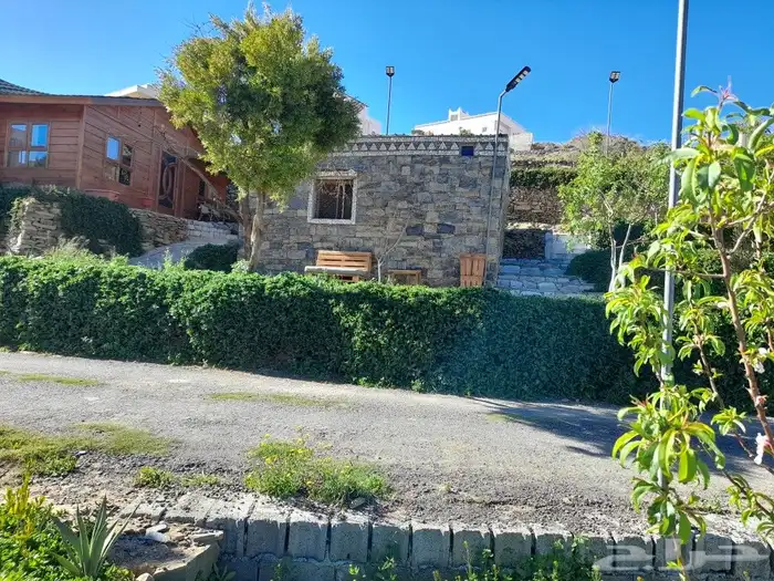 تنومه بلحمر النماص ابهاء سبت العلايه بني عمرو 20