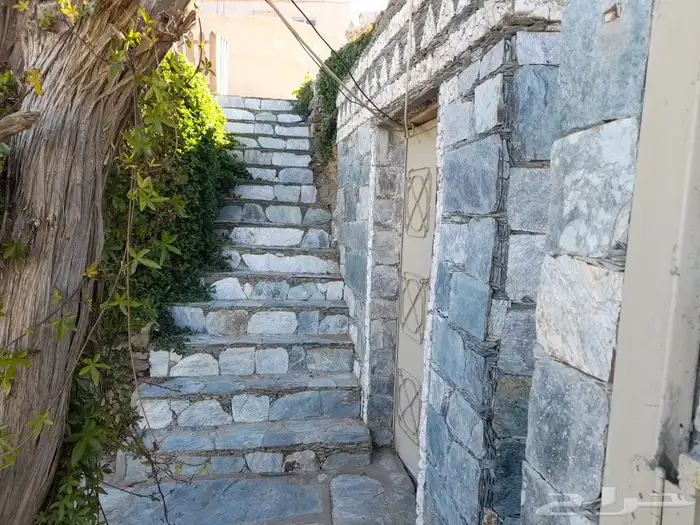 تنومه بلحمر النماص ابهاء سبت العلايه بني عمرو 15