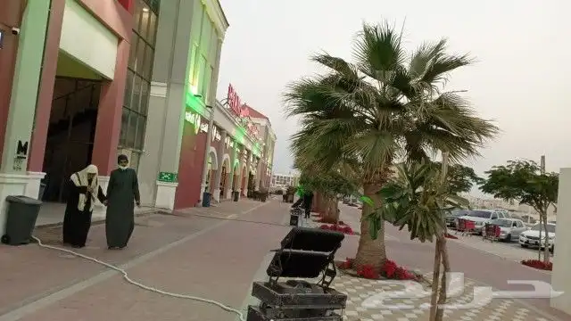 افتتاح محلات 2