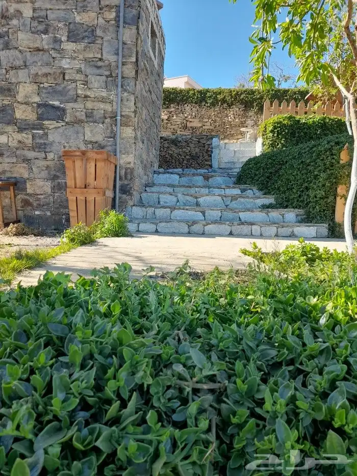 تنومه بلحمر النماص ابهاء سبت العلايه بني عمرو 11