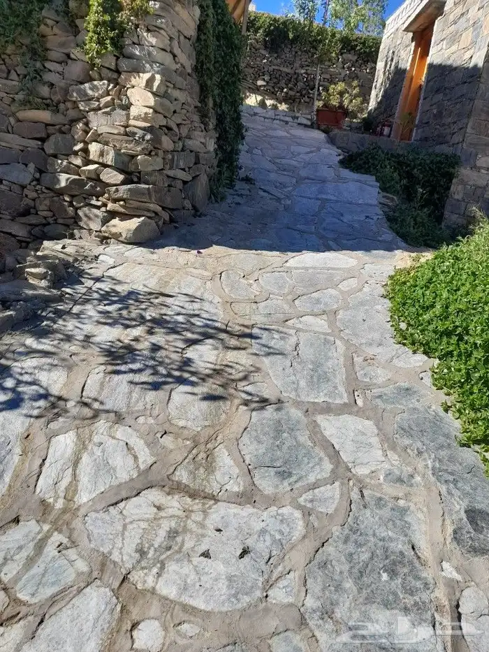 تنومه بلحمر النماص ابهاء سبت العلايه بني عمرو 4