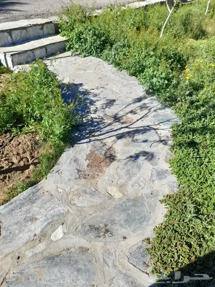 تنومه بلحمر النماص ابهاء سبت العلايه بني عمرو 0