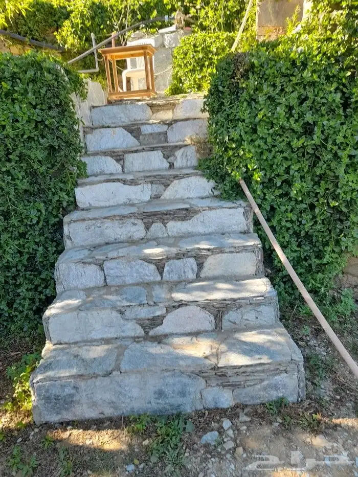 تنومه بلحمر النماص ابهاء سبت العلايه بني عمرو 12