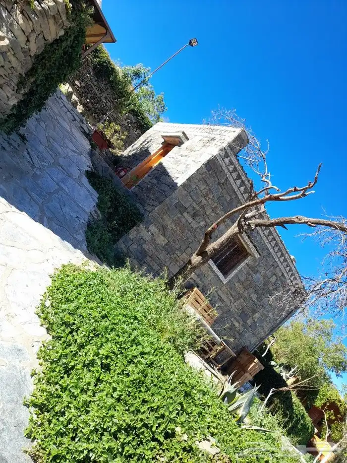 تنومه بلحمر النماص ابهاء سبت العلايه بني عمرو 8