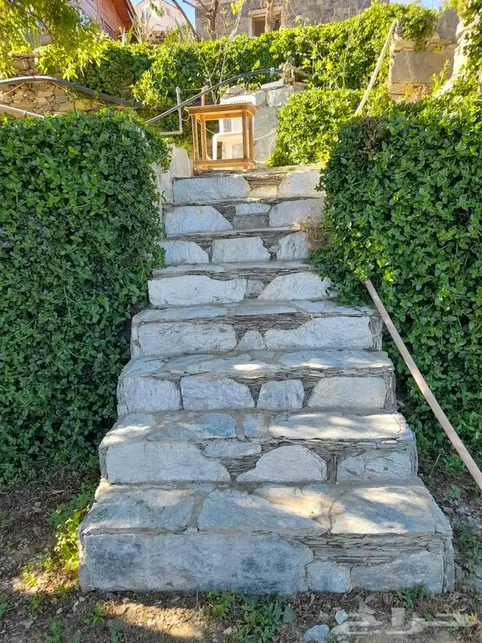 تنومه بلحمر النماص ابهاء سبت العلايه بني عمرو 13