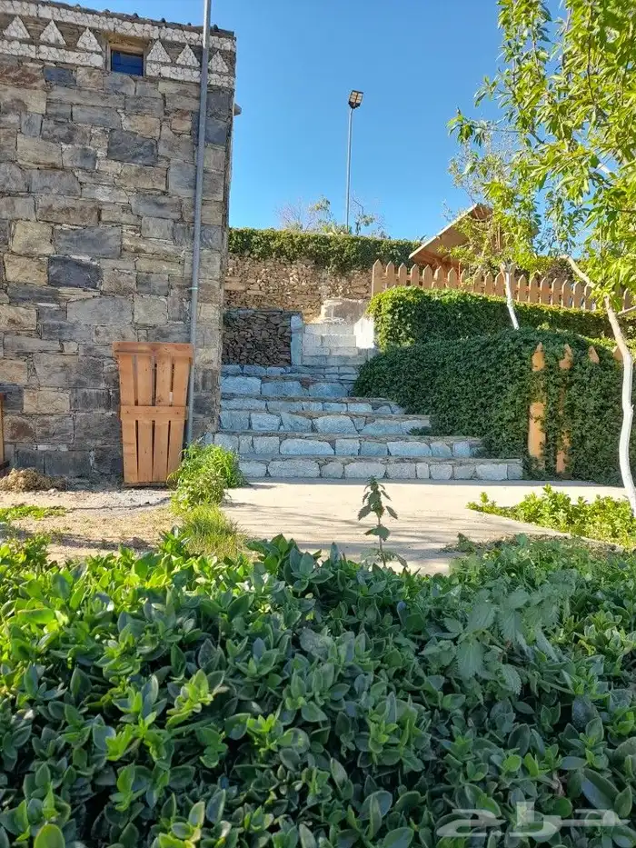 تنومه بلحمر النماص ابهاء سبت العلايه بني عمرو 10