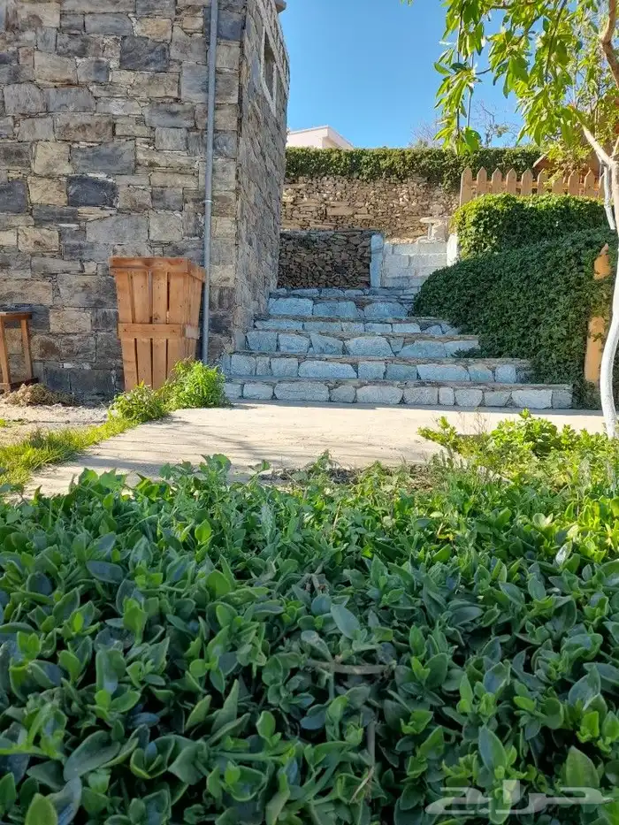 تنومه بلحمر النماص ابهاء سبت العلايه بني عمرو 9