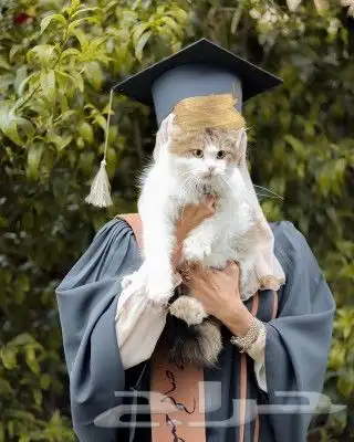 ارواب وعبايات تخرج بالاسم والمقاسات حسب الطلب 31