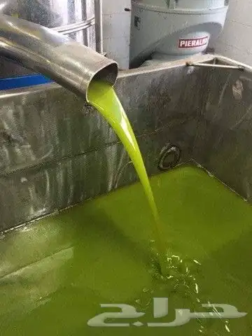 زيت زيتون فلسطيني بكر بعل جديد الموسم لكل السعودية 21