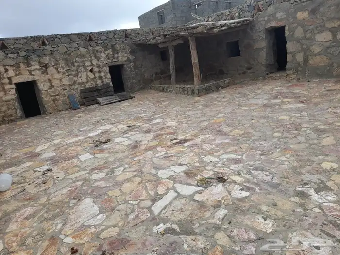 ابهاء الخميس النماص تنومه بلحمر العلايه باشوت 8