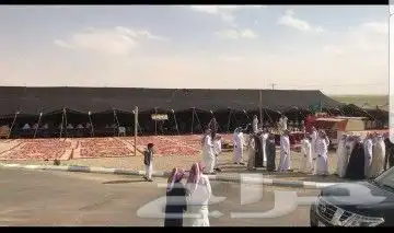 تاجيرحفلات ومناسبات 11