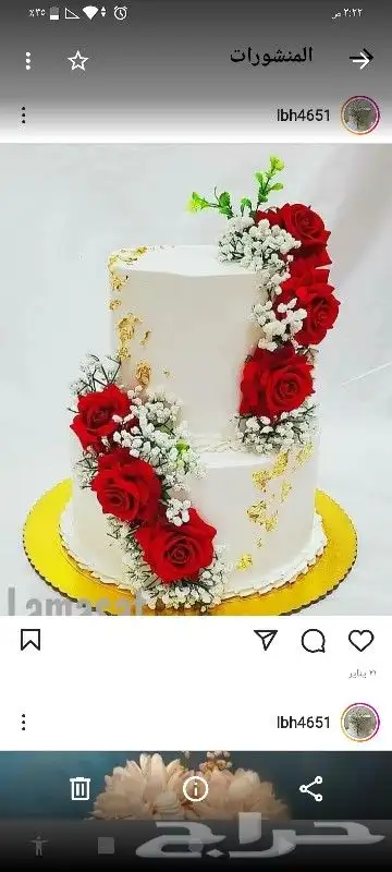 كيكات دورين. جده و مكه 8