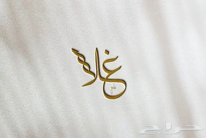 انا مصمم شعارات واملك الخبرة 10