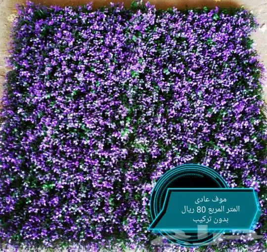 تنسيق حدائق ومظلات 11
