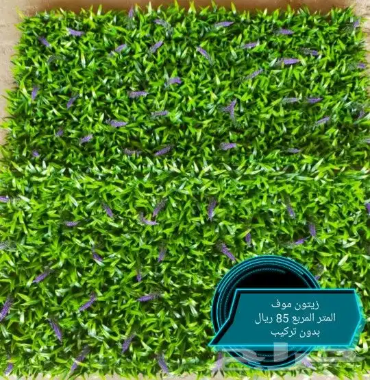 تنسيق حدائق ومظلات 9