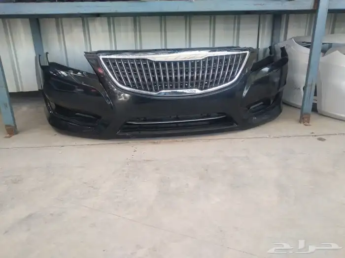 صدام كياء كدينزا 2011-2012 1