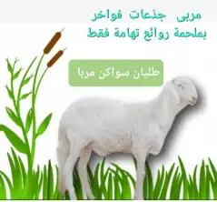مركزرواد تهامه ليسة الوحيده فلاكن يشهدالله أنها افضل الملاحم 3