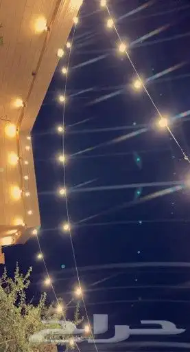 تاجير عقود لمبات 4