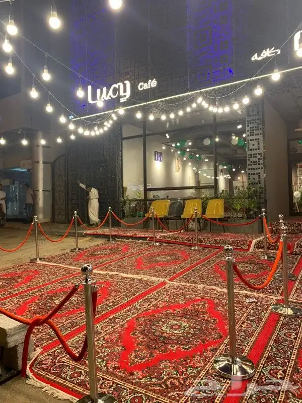 تاجير عقود لمبات 7