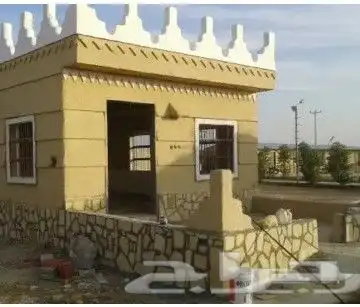 مجالس تراثي وشبوك ونخيل واشنطني 1