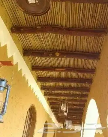 مجالس تراثي وشبوك ونخيل واشنطني 5