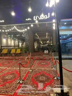 تاجير عقود لمبات 6