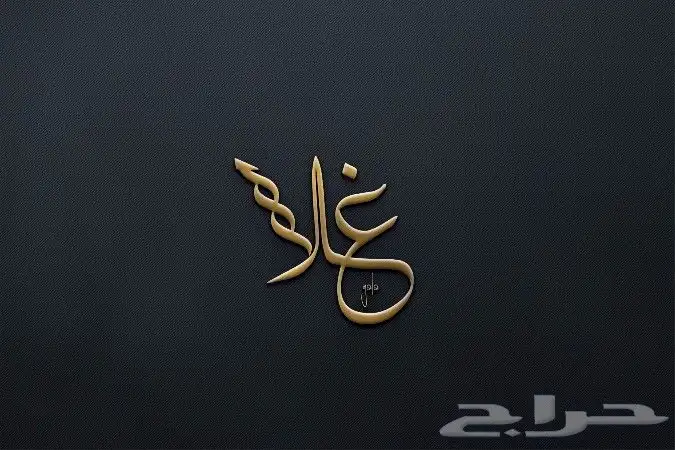 تصميم شعارات و تجديدها 14