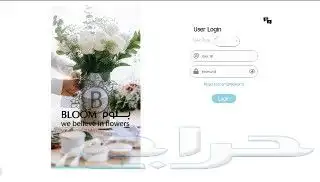 مبرمج مواقع إلكترونية و تطبيقات ويب 1