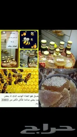 نحل بلدي ومستلزماتة وعسل طبيعي ومشتقاتة و(الإستلام بالمدينة) 9