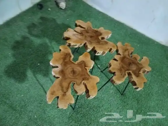 طقم طاولات جذوع شجرمورده حجم جانبيات للبيع جديده 5