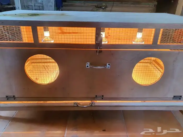 حاضنات حاضنة ومحاكر صوص 7