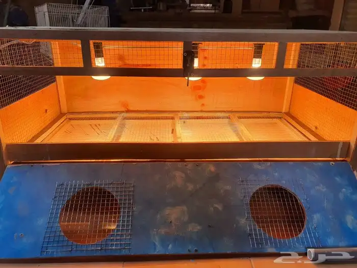 حاضنات حاضنة ومحاكر صوص 1