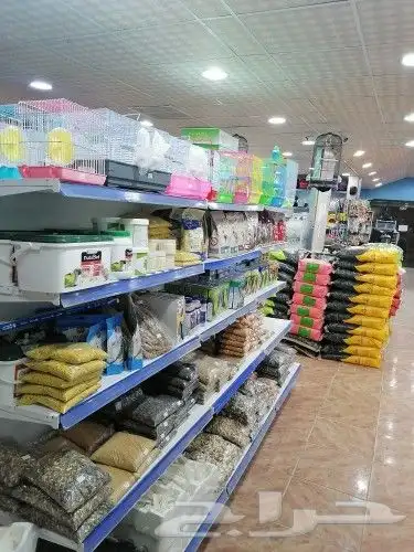 طيور قطط سمك مستلزمات 14