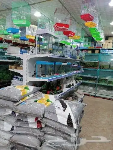 طيور قطط سمك مستلزمات 9